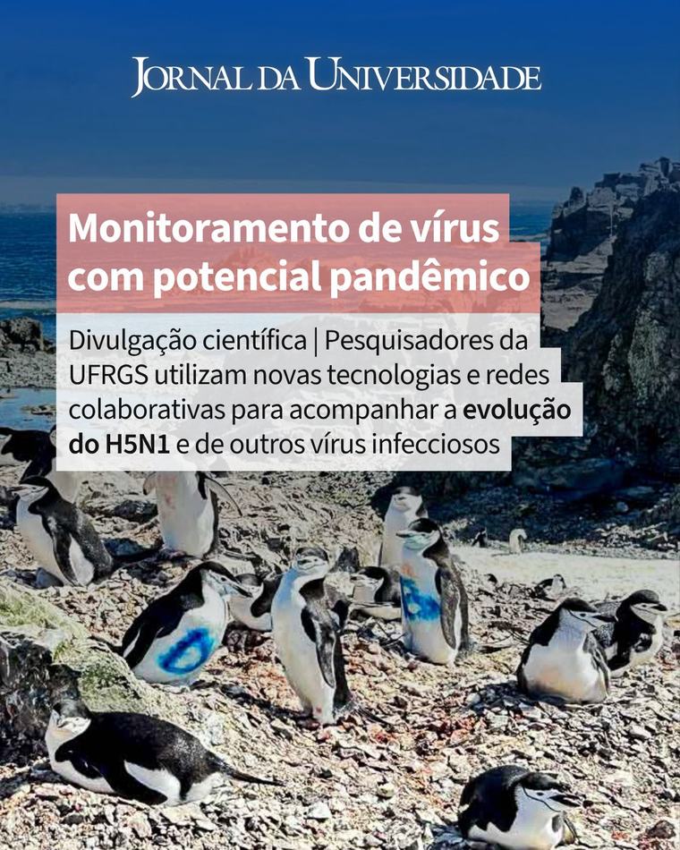 Políticas públicas Porto Alegre realiza novo censo da população em situação de rua após 10 anos