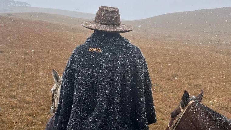 Frio! São José dos Ausentes registra neve na tarde deste domingo Alana Fernandes