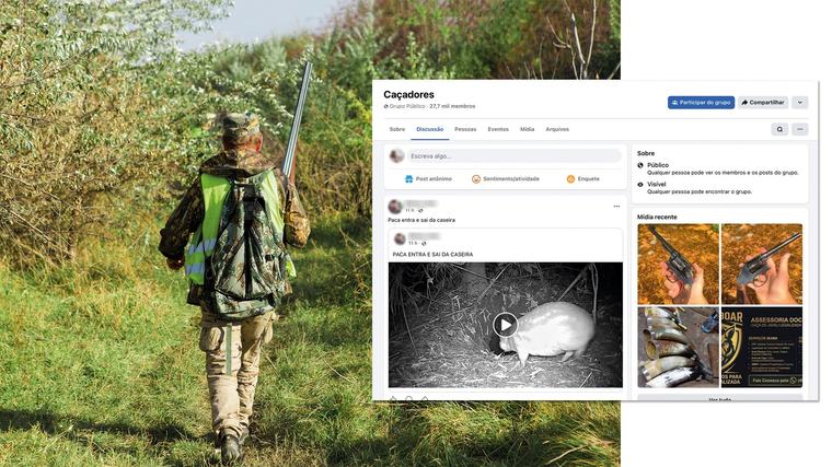 Proibida no país, ‘caça esportiva’ reúne milhares de adeptos em comunidades nas redes